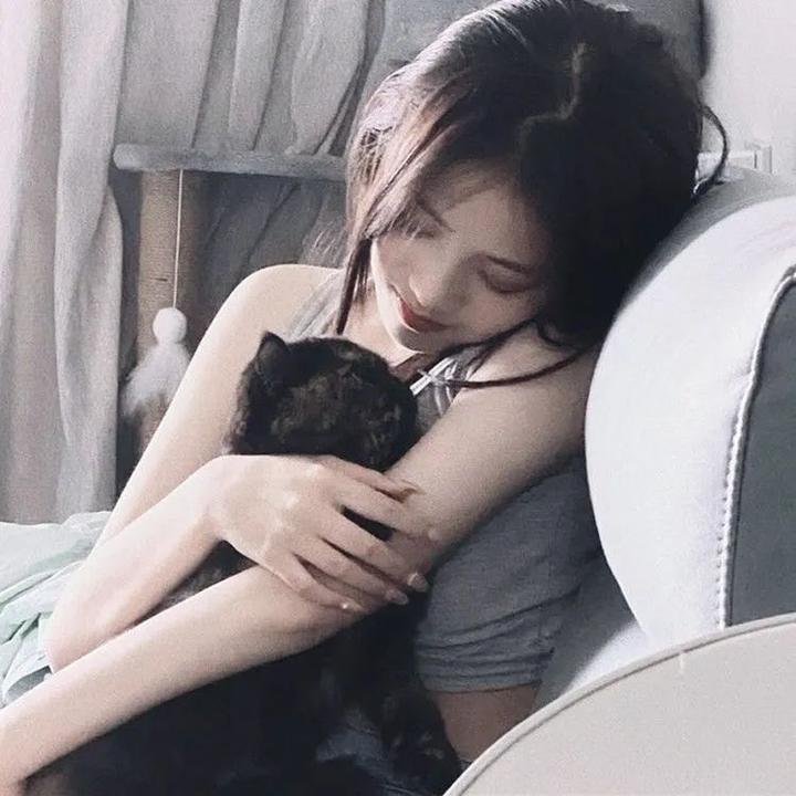 巴黎夜猫