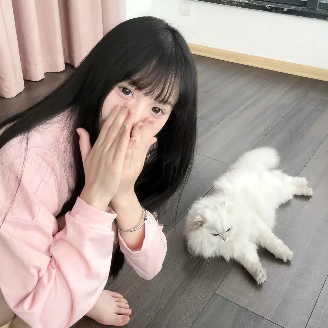 全金属狂潮第三季