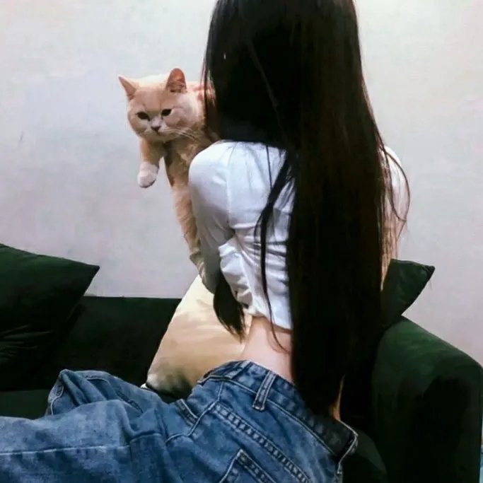 阳光下的决斗